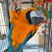 Susan Chadwick - Facebook