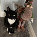 Susan Chadwick - @susanchadwick0412 - Instagram