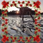 Susan Chadwick - @susanwilliams520 - Instagram