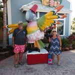 Susan Howard Chadwick - @susanchadwick40 - Instagram
