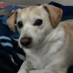 Susan Champlin - @suec701 - Instagram