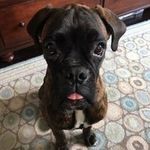 Susan Champlin - @snchamplin - Instagram