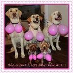 Susan Creppel Champlin - @champlinsusan - Instagram