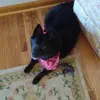 Susan Hicks Chandler - @susan.hicks.chand - TikTok