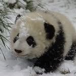 Susan Cheney - @cheneysm - Instagram