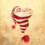 Susan Cheney Harris - @susan_cheneyharris - Instagram
