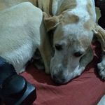 Susana Ignacia Tschopp - @susanaignaciatschopp - Instagram