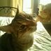 Susan Chovanec - Facebook