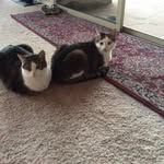 Susan Christopherson - @sjc95044 - Instagram