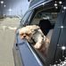 Susan Christopherson - Facebook