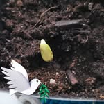 Susan Christopherson - @christophersonsusan - Instagram