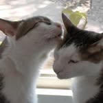 Susan Christopherson - @susan12948 - Instagram