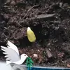 Susan Christopherson - @susan.christopher1 - TikTok