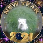 Susan Chronister - Facebook