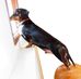 Suzy Chronister - Facebook