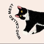 Susan Chuang - @nk5050 - Instagram