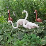 Susan C Hubbs - @susanchubbs2 - Instagram