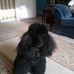 Susie Chubb - Facebook