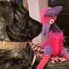 Susan - @susanclaire - TikTok