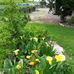 Susan Clapp - Facebook