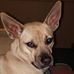Susan Clapp - Facebook