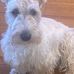 Susan Clapp - Facebook