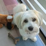 Susan Magisana Clarine - @susanclarine - Instagram