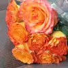 susanclem4 - @susanclem4 - TikTok
