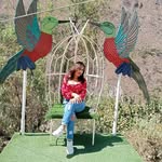 Susan Clemente Ayala - @susanclementeayala - Instagram