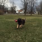 Susan Clickner - @clicknersusan - Instagram