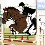 horses and sso - @susan_cloudriver_horses_sso - Instagram