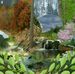Sue Clutter - Facebook