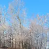 Susan Coble - @susancoble - TikTok