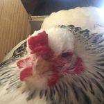 Ron & Susan Cockerham - @regsfarm - Instagram