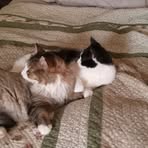 Susan Cockerham - Facebook