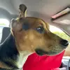 Susan Cockerham - @susancockerham - TikTok