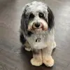 Susan DC - @susancoco - TikTok