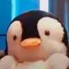 Susan - @susanandcoco - TikTok