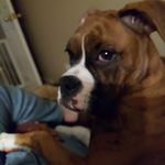 Susan Cofer Bauer - @susanbauer1848 - Instagram