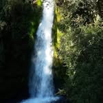 Nelida susana conetta - @nelidasusanaconet - Instagram