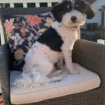Susan Cognetti Williams - @cognettiwilliams - Instagram