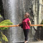 Susan Colbeck - @susancolbeck - Instagram