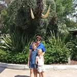 Susan Colborne - @susancolborne - Instagram
