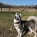 Susan Skomars Colborne - Facebook