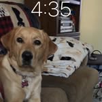 Susan Colburn - @susan_colburn1 - Instagram