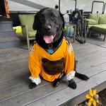 Susan Colburn - @bradyn_best - Instagram
