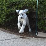 Susan Colburn - @susan.colburn - Instagram