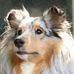 Susan Colburn - Facebook
