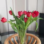 susan colburn - @susancolburn47 - Instagram