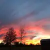 susanjanecolburn - @susanjanecolburn - TikTok